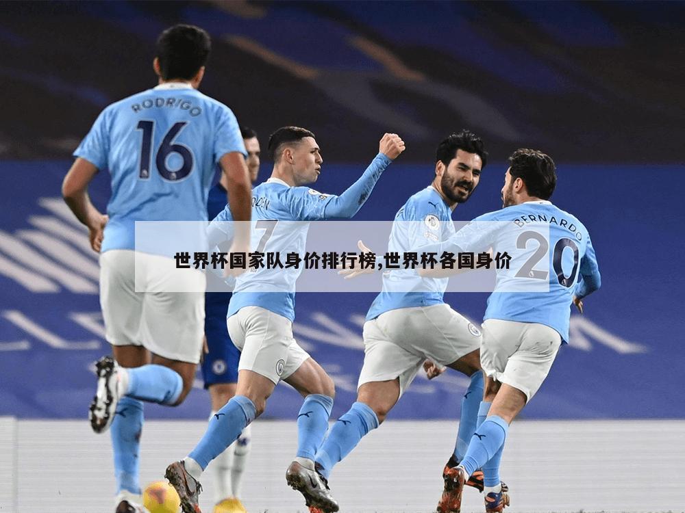 世界杯国家队身价排行榜,世界杯各国身价
