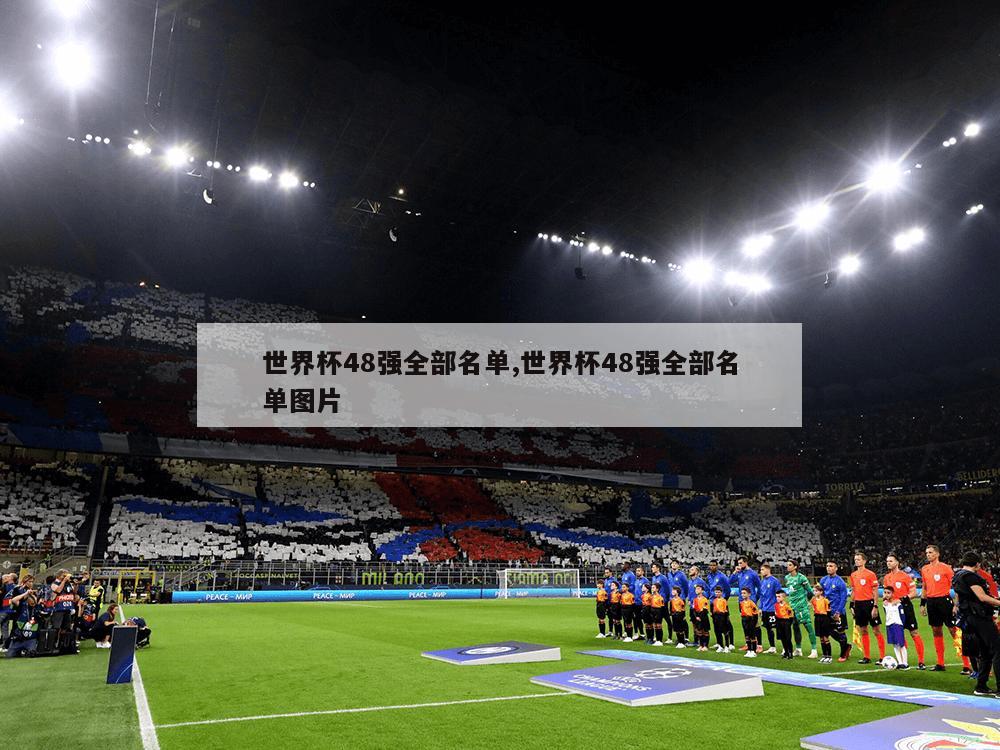 世界杯48强全部名单,世界杯48强全部名单图片