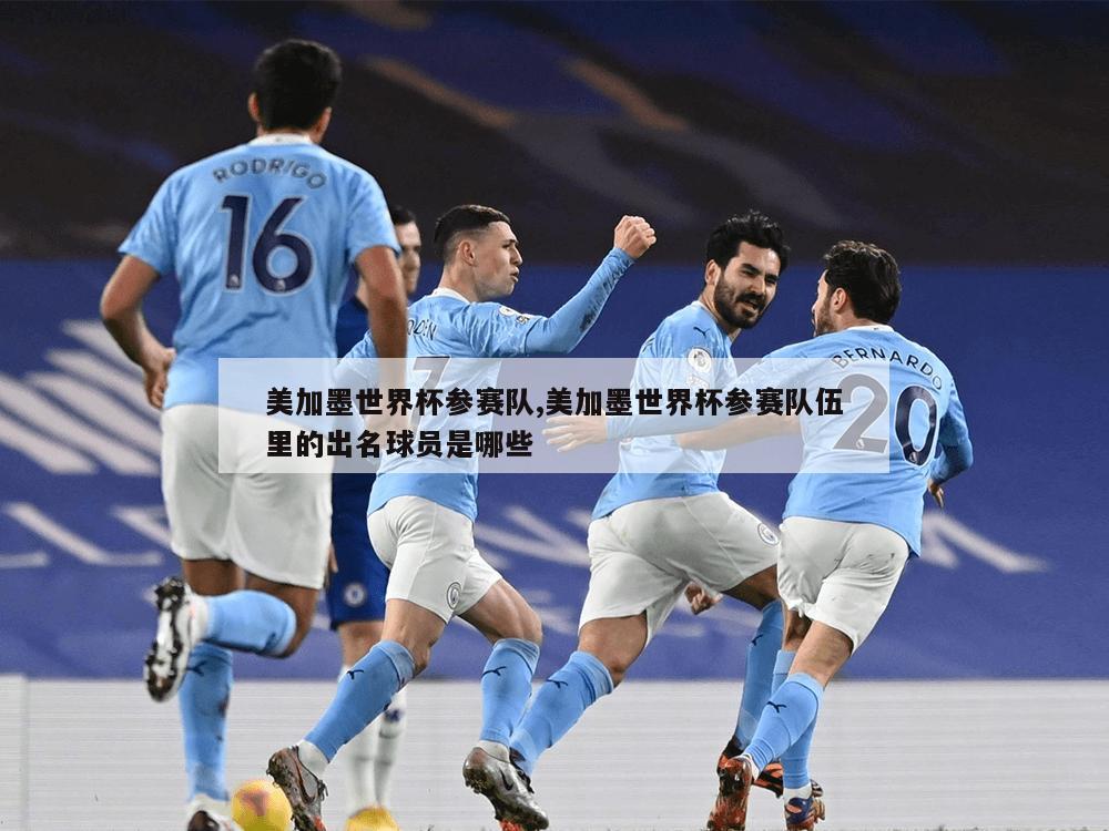 美加墨世界杯参赛队,美加墨世界杯参赛队伍里的出名球员是哪些