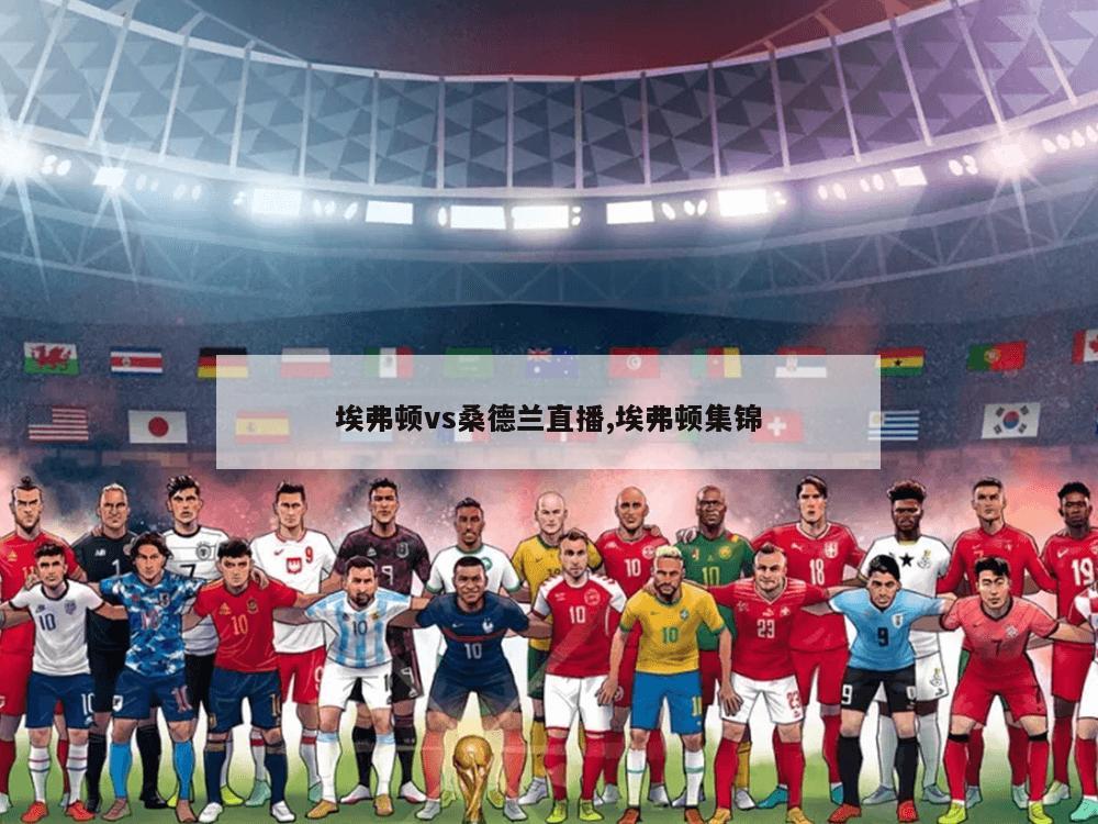 埃弗顿vs桑德兰直播,埃弗顿集锦