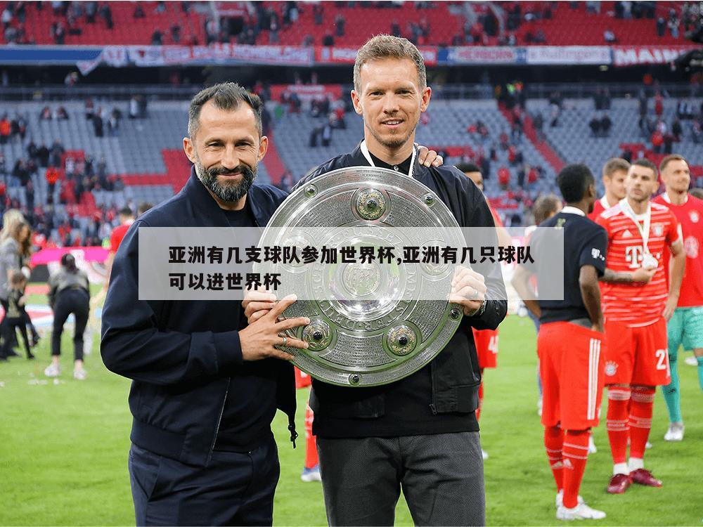 亚洲有几支球队参加世界杯,亚洲有几只球队可以进世界杯